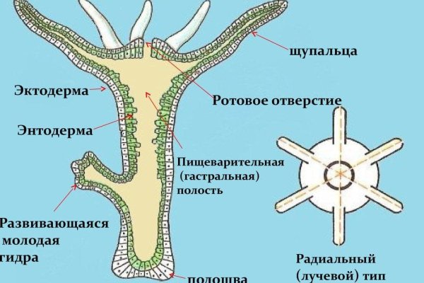 Оригинальная ссылка на магазин кракен