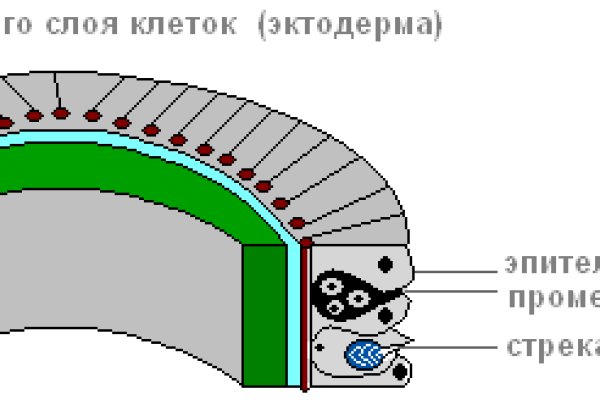 Найти ссылку на кракен