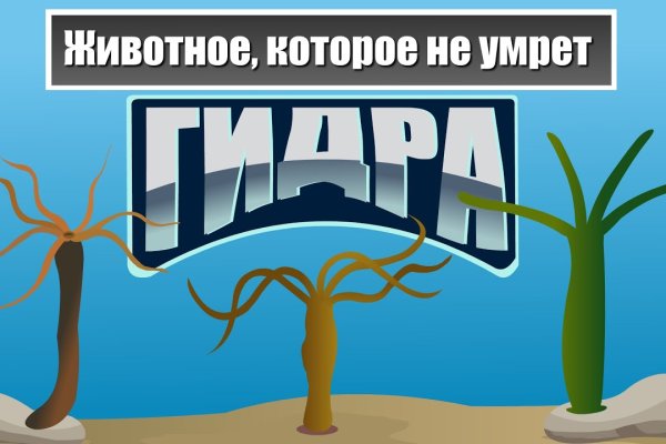 Актуальный адрес кракена